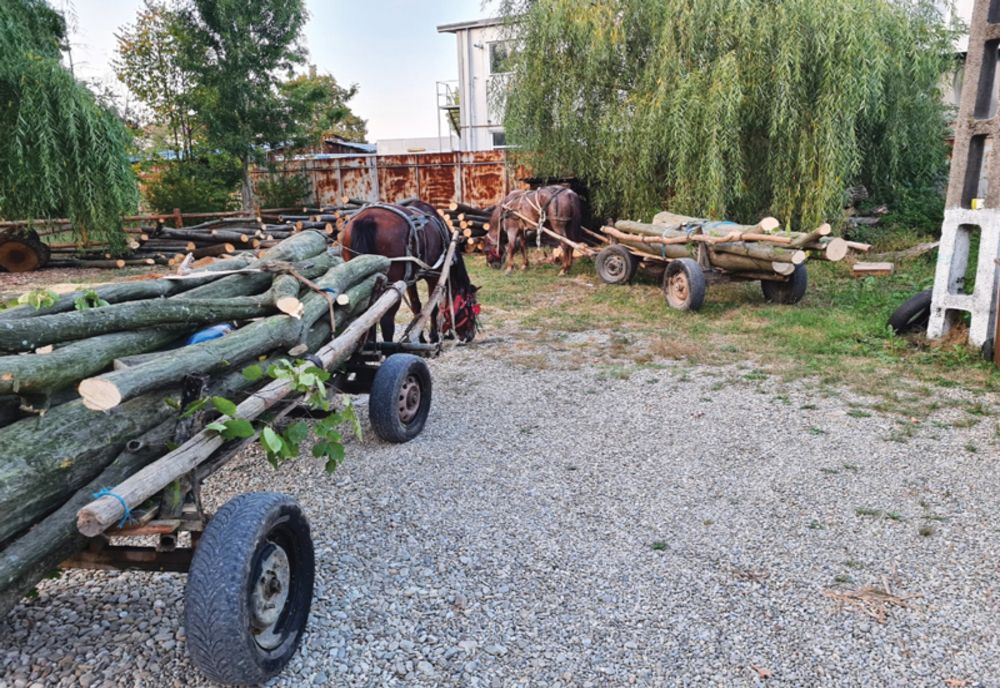 Atelaje hipo care transportau material lemnos oprite de polițiști