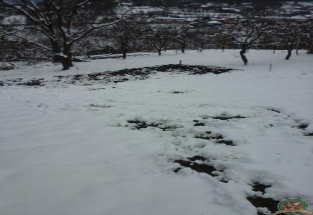 Dosar penal pentru uciderea animalelor