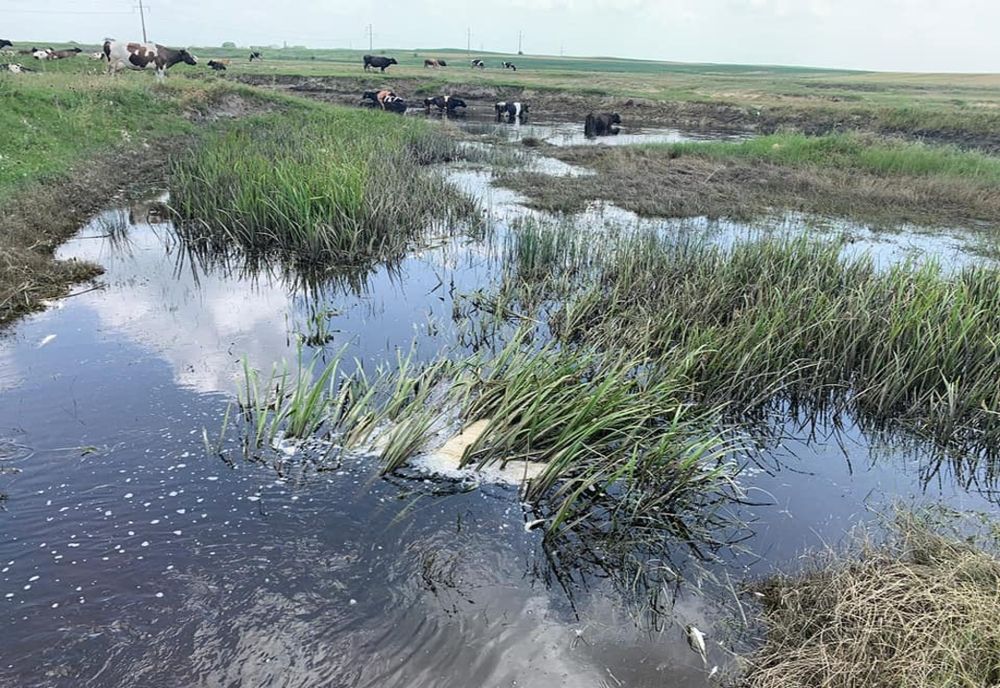 Apele râului Călmățui nu au fost poluate și se încadrează în valori normale