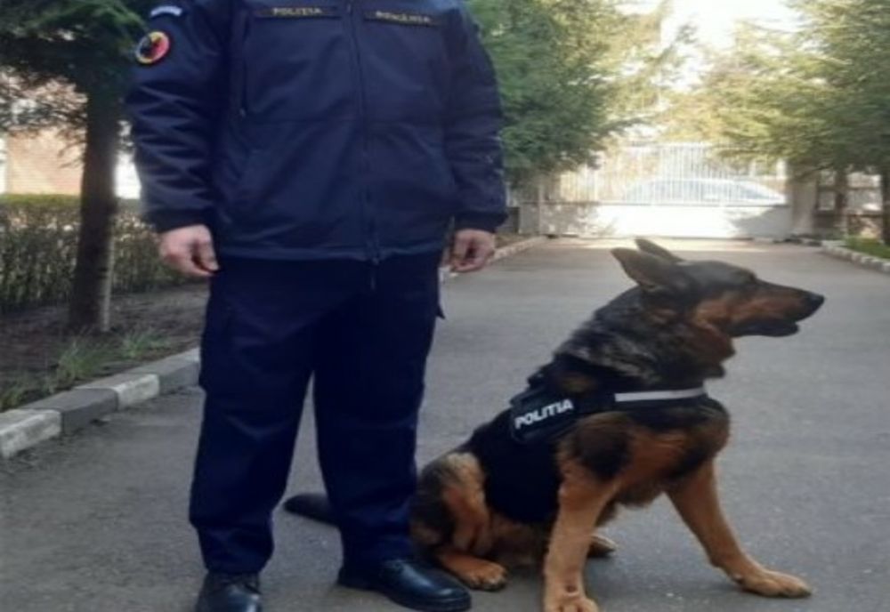 Reținut pentru 24 de ore pentru tâlhărirea unui bătrân de 81 de ani