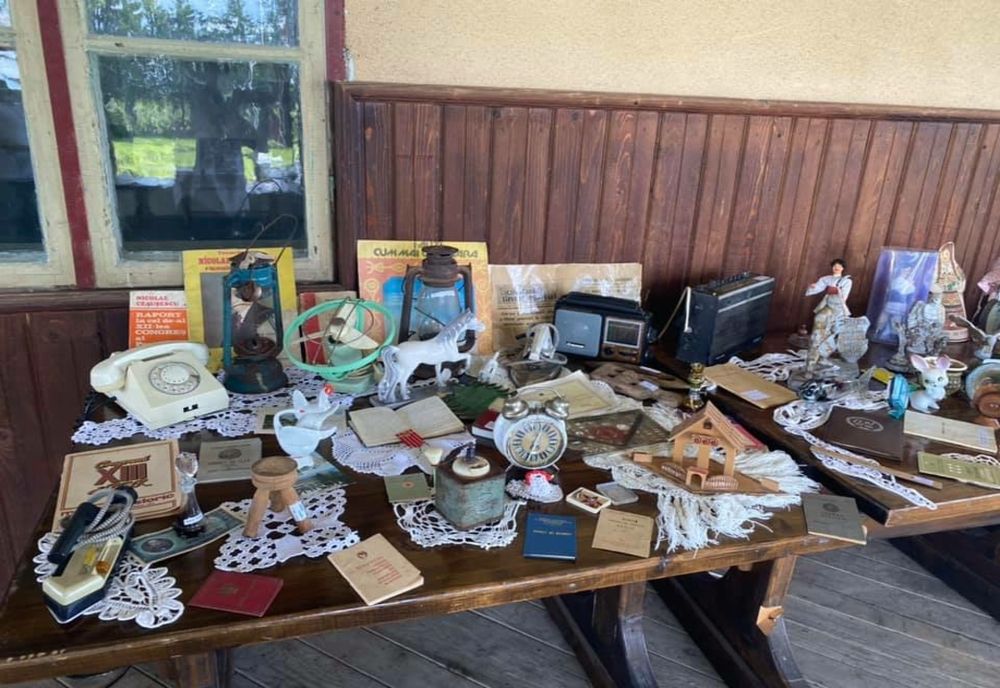 Elevii din 4 clase de la Colegiului Bogdan Petriceicu Hașdeu împreună cu profesoara de istorie au organizat un proiect inedit