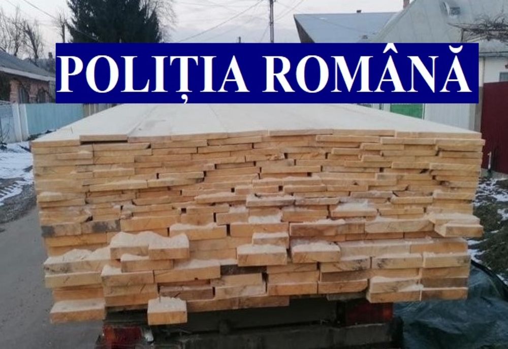 Controale pe linia delictelor silvice