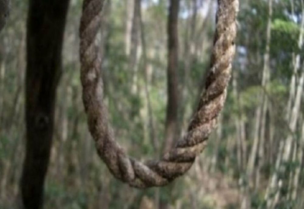 Tânăr de 18 ani spânzurat în grădină de un prun