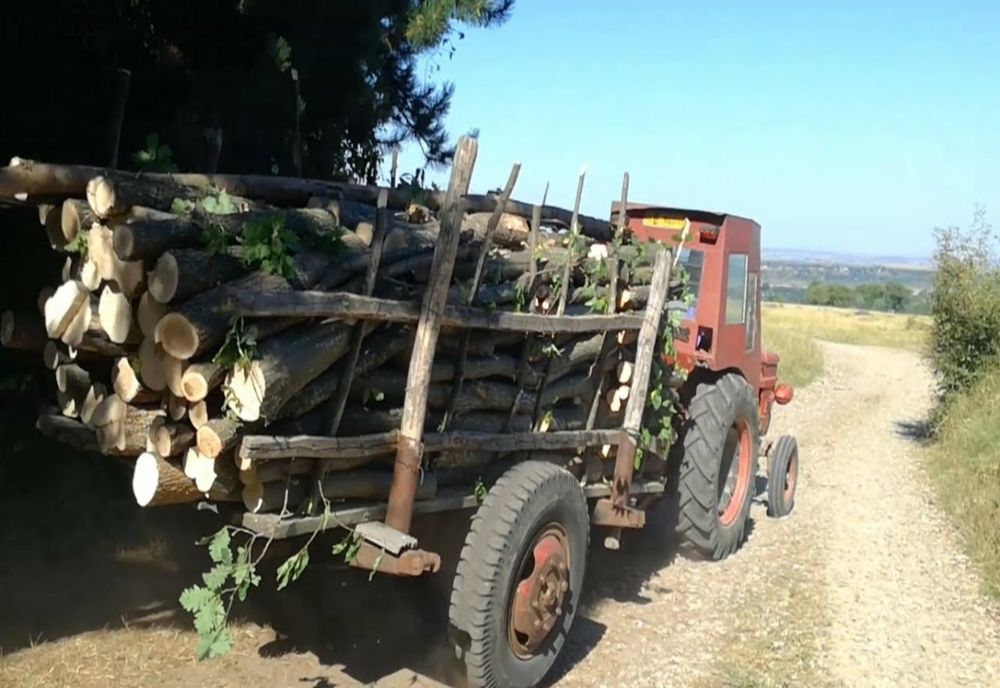 Controale în trafic pe linie silvică efectuate de polițiștii Postului de poliție rurală Pietroasele