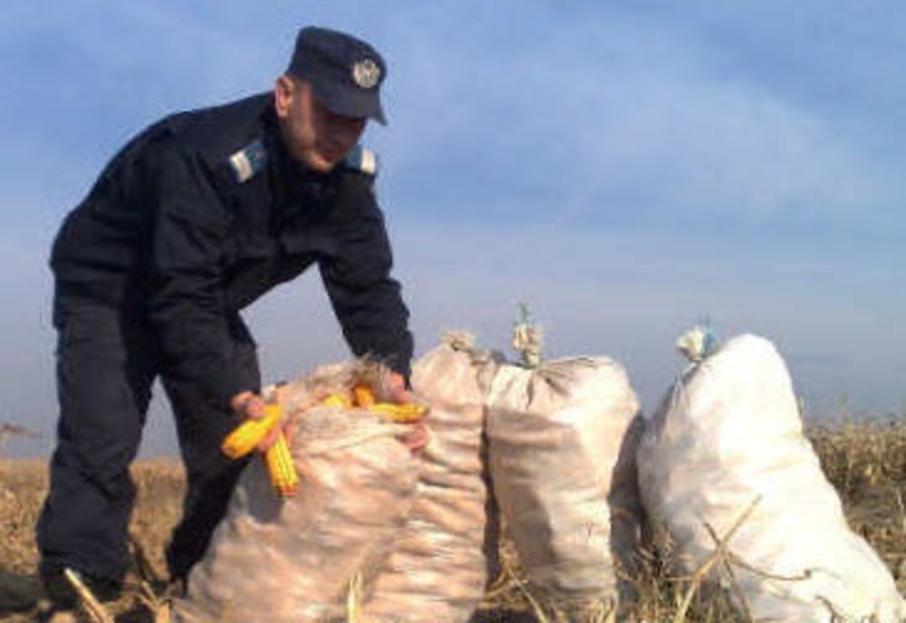 Bănuiţi de furturi de sezon prinşi în flagrant de poliţişti 