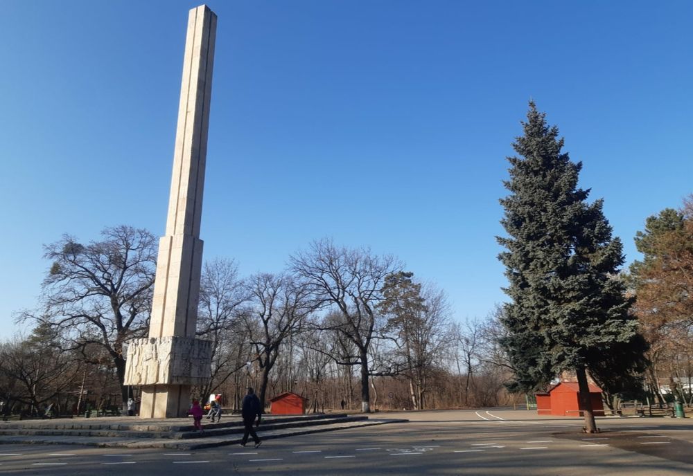 Video: O polițistă și-a donat bradul din curte către Primăria Buzău