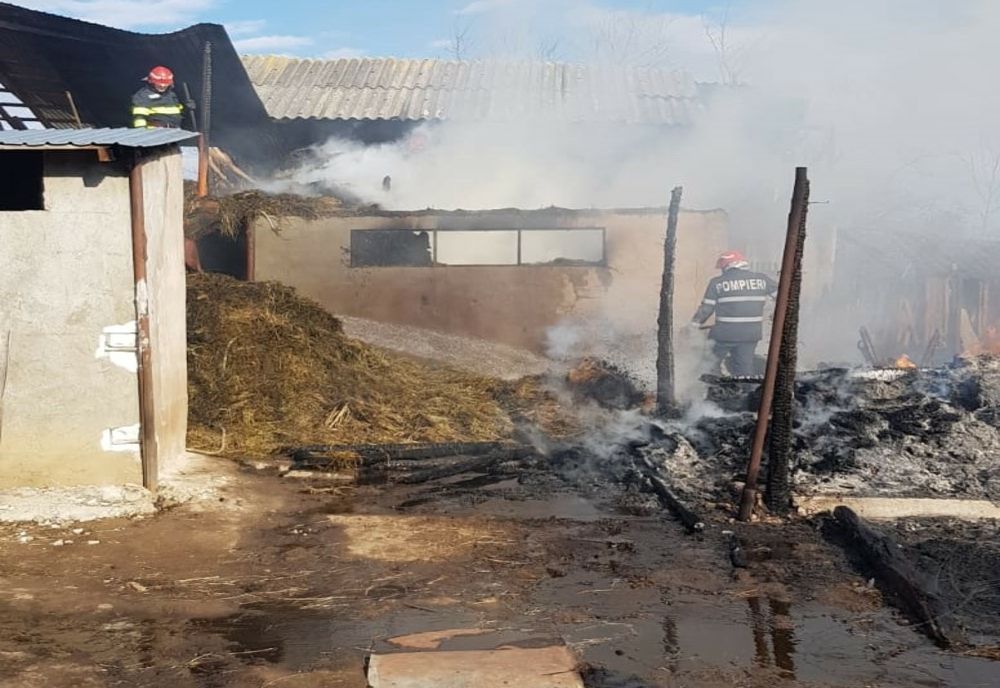 Video: Incendiu la Merei