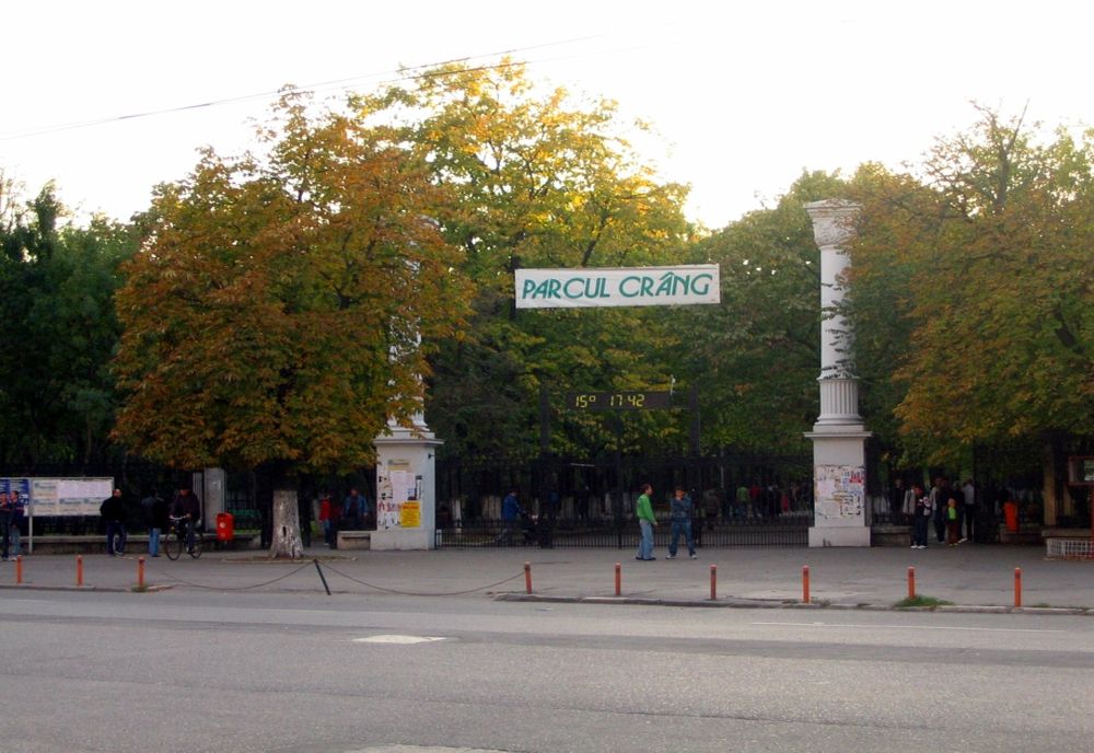Guvernul a aprobat trecerea a peste 177 ha din Parcul Crâng în domeniul public al municipiului Buzău