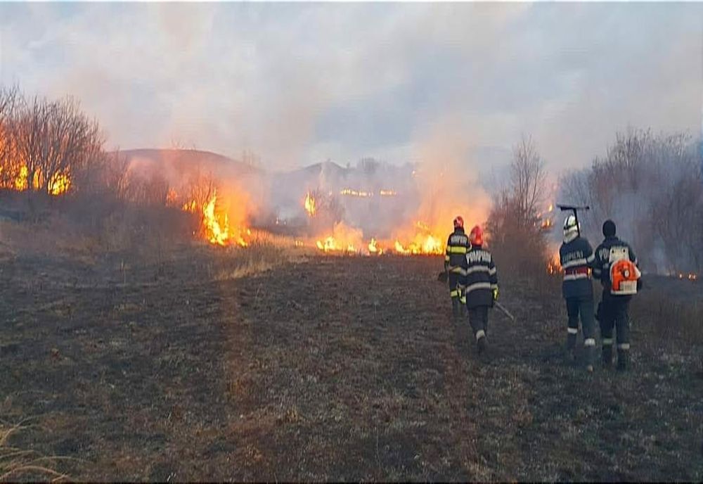 Amendat de jandarmi pentru incendierea unor terenuri agricole