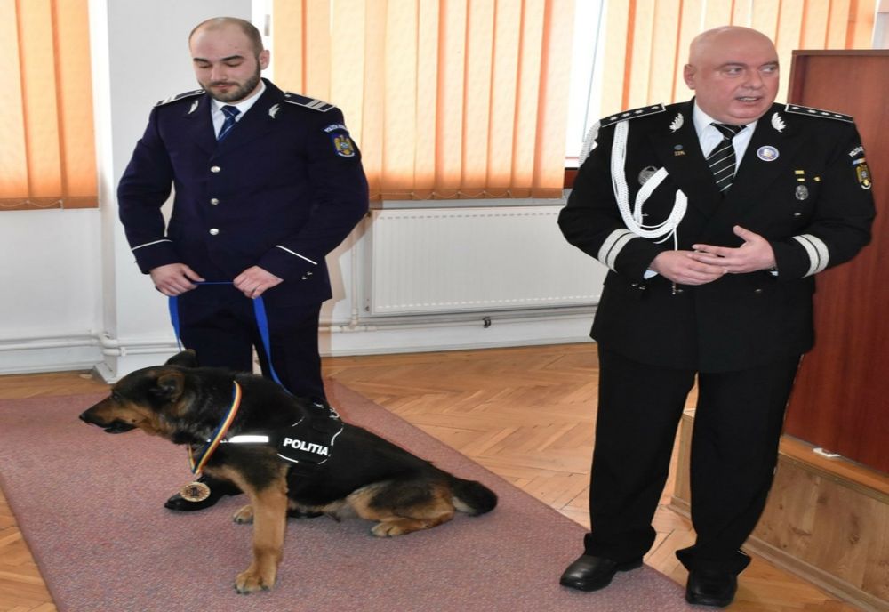 Video: Câinele de urmă Rik a ajuns la pensionare