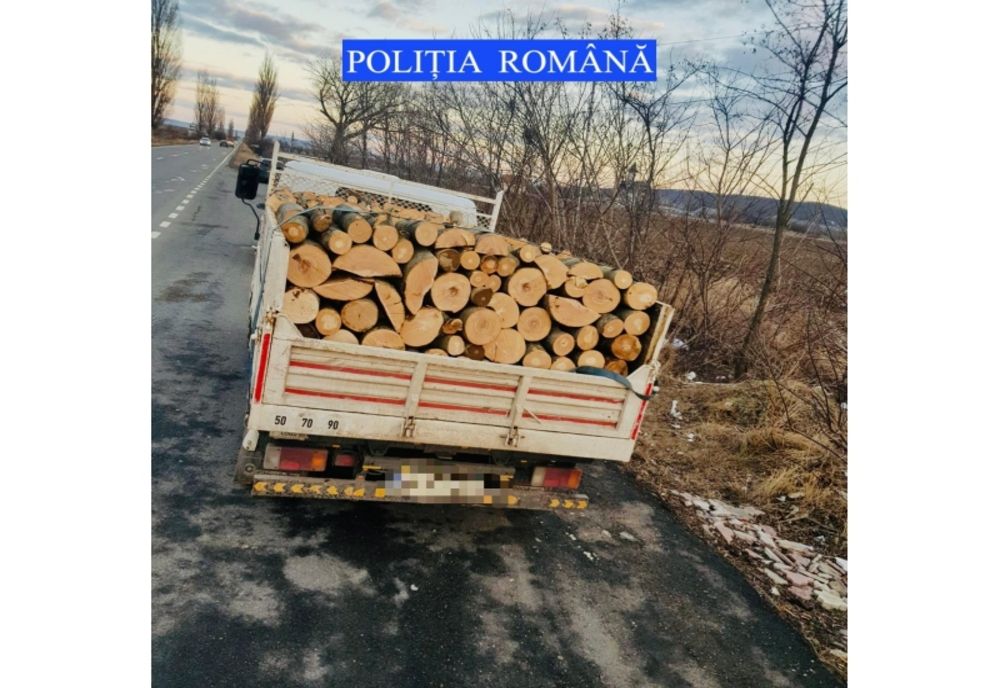 Polițiștii sesizați că două persoane ar sustrage material lemnos dintr-o pădure din localitatea Siriu