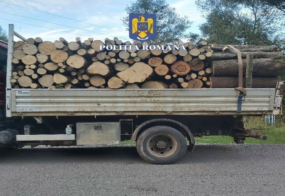 Material lemnos specia cherestea rășinoase confiscat de polițiști