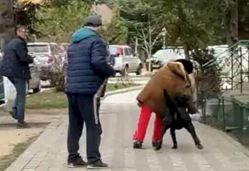 Femeie atacată de un câine în orașul Nehoiu