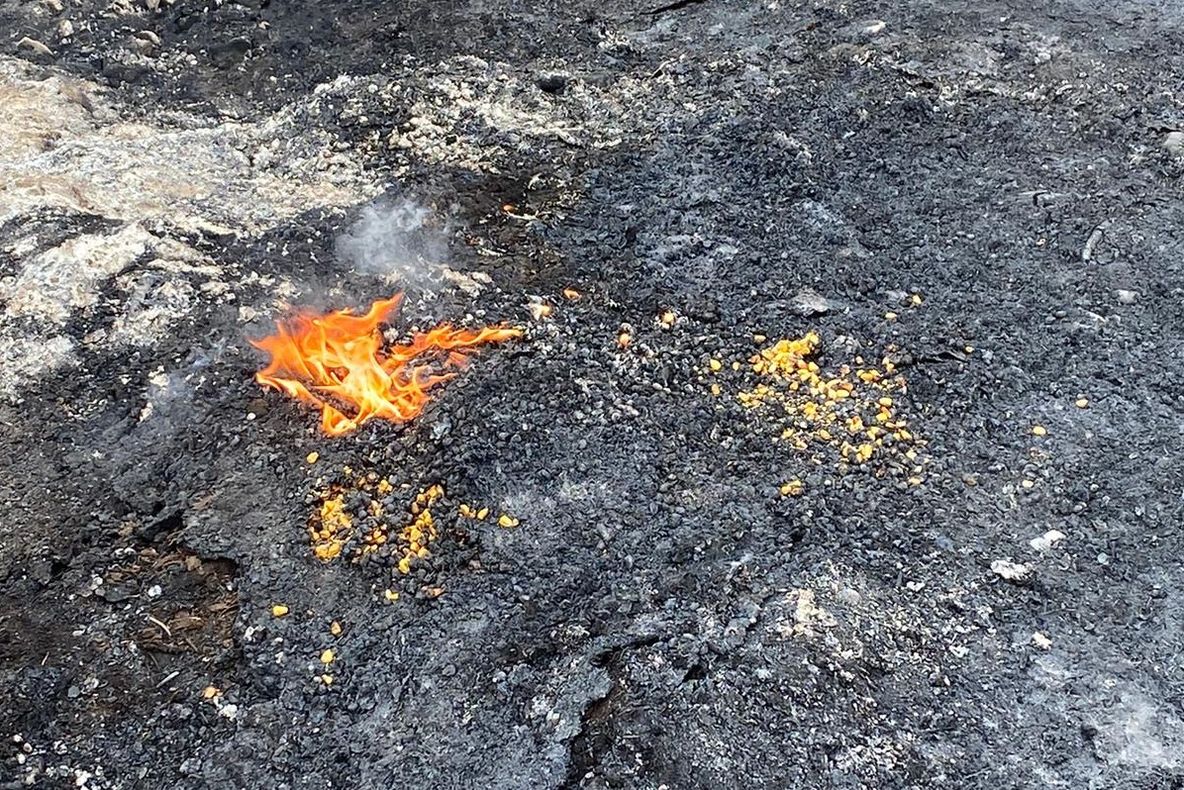 Surprinși în flagrant în timp ce incendiau mai mulţi saci din material plastic şi mai multe recipiente din plastic provenind de la produse pentru protecția plantelor