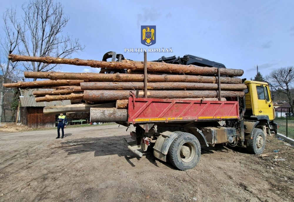 Acțiuni ale polițiștilor buzoieni pentru prevenirea prejudicierii fondului forestier
