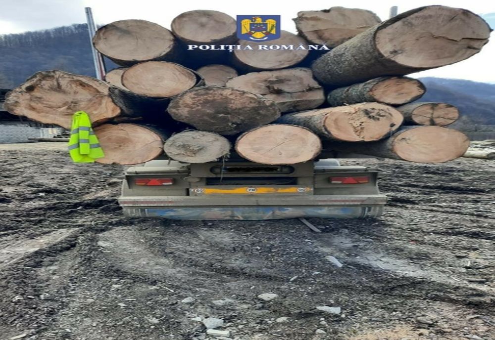 Şofer de autoutilitară transporta ilegal material lemnos, fără a avea poliţă de asigurare obligatorie şi având inspecţia tehnică periodică a maşinii expirată