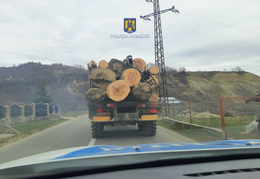 Dosar penal pentru transport ilegal de material lemnos/ Peste 43 de metri cubi confiscați