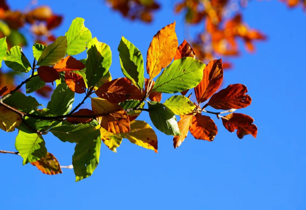 VREMEA 16 SEPTEMBRIE. TEMPERATURI ÎN CREȘTERE ÎN CEA MAI MARE PARTE A ȚĂRII