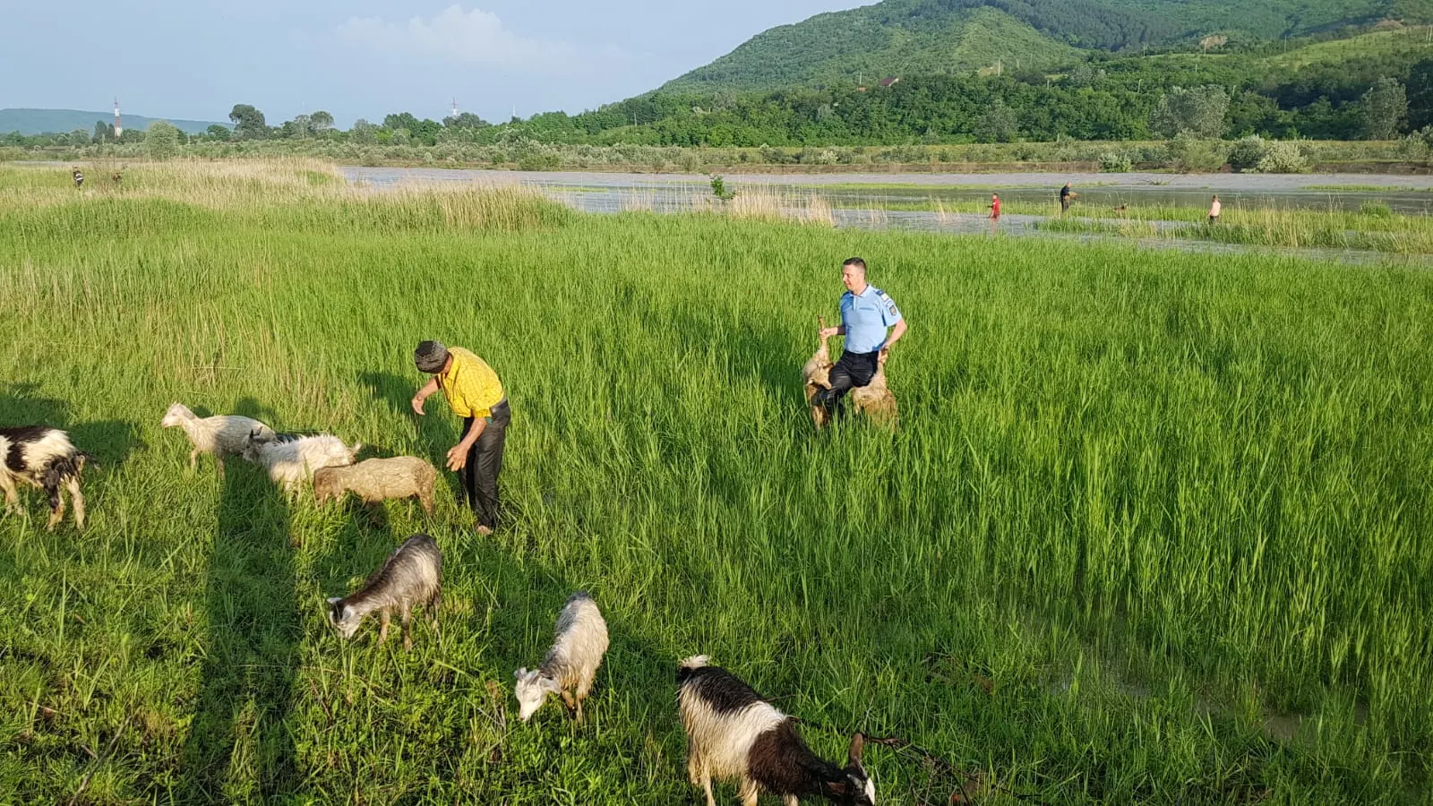 IMG-20190604-WA0006