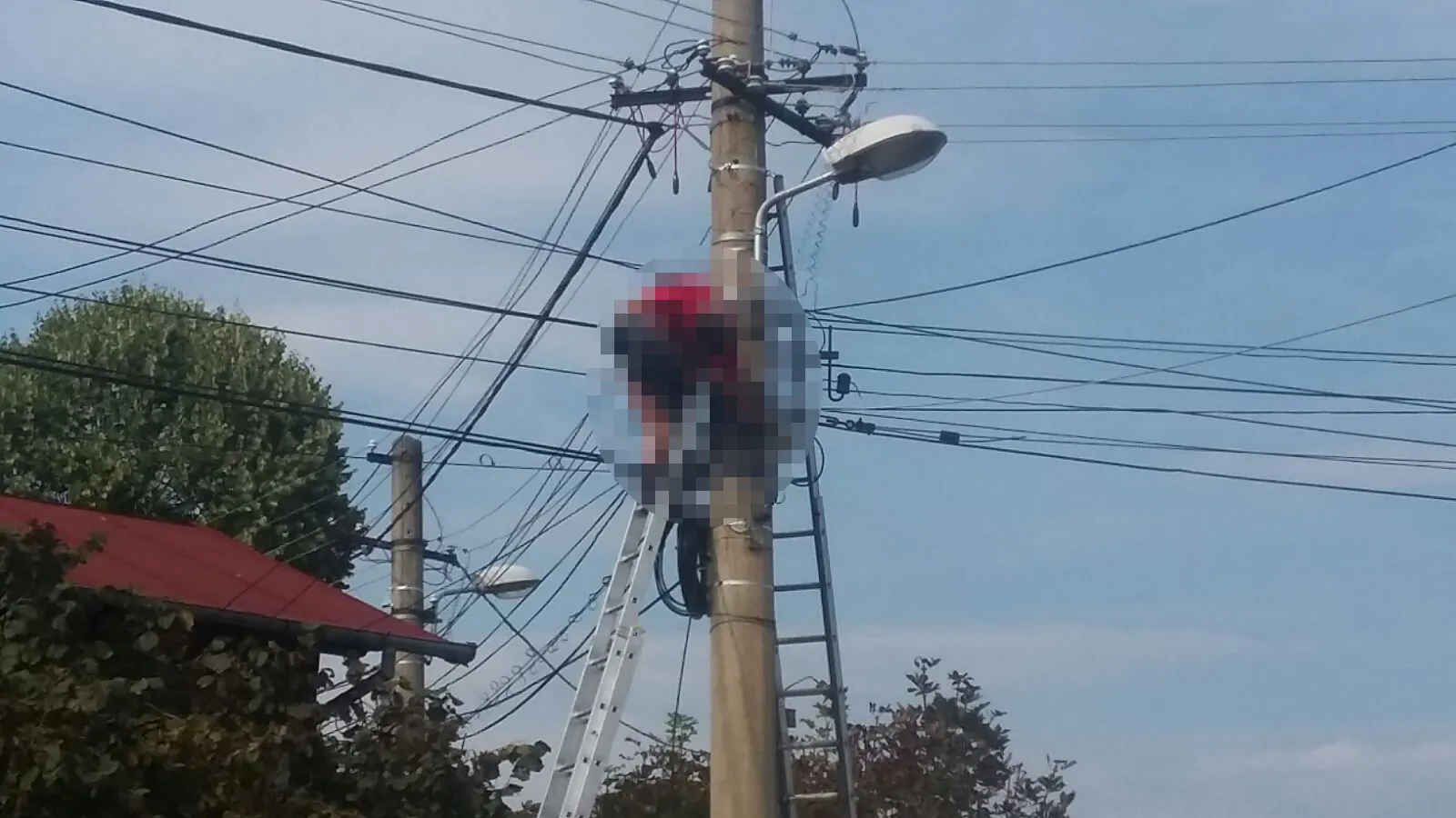 electrocutat-stalp