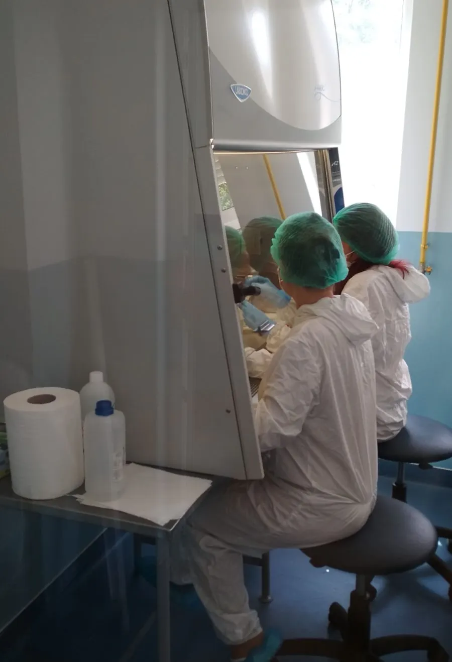 pcr