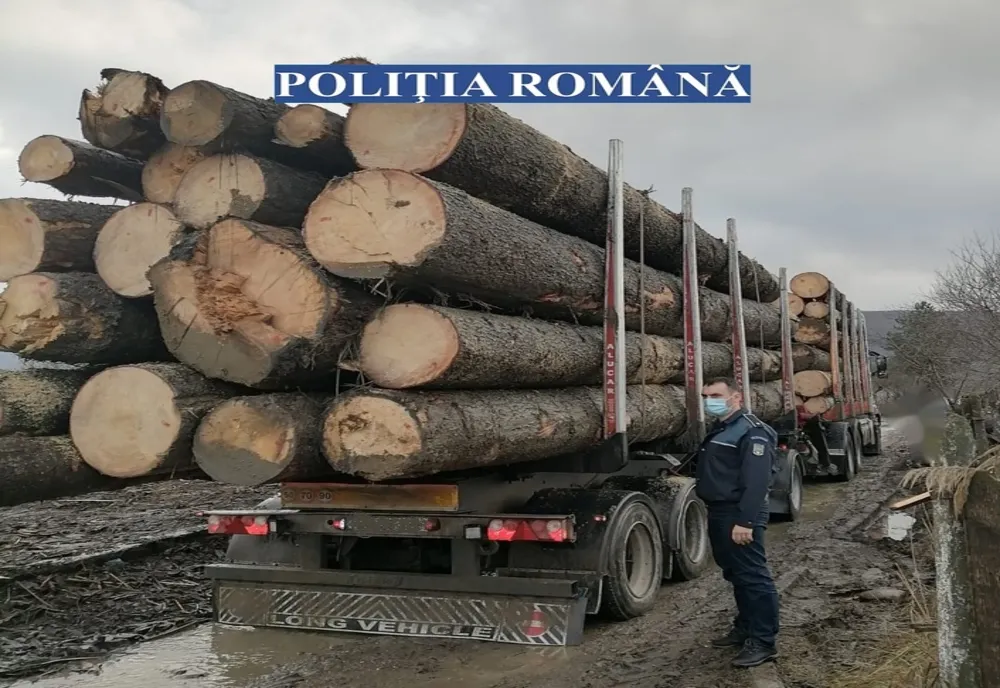 Polițiștii buzoieni au confiscat aproximativ 20 mc lemn