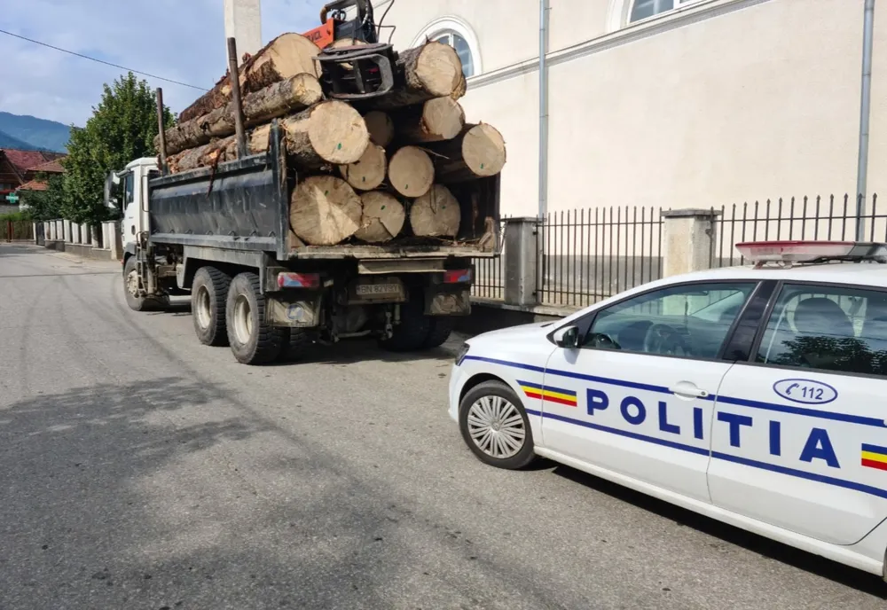 Avea mașina plină cu lemn de brad, dar avizul de însoțire era expirat