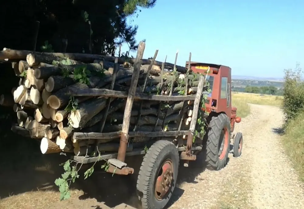 Controale în trafic pe linie silvică efectuate de polițiștii Postului de poliție rurală Pietroasele