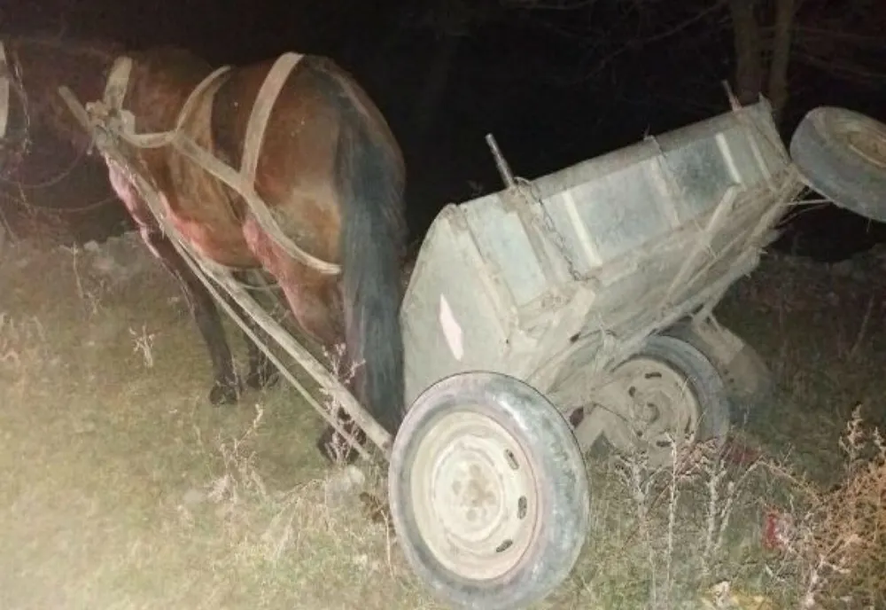 Accident cu un atelaj hipo pe DN2E85