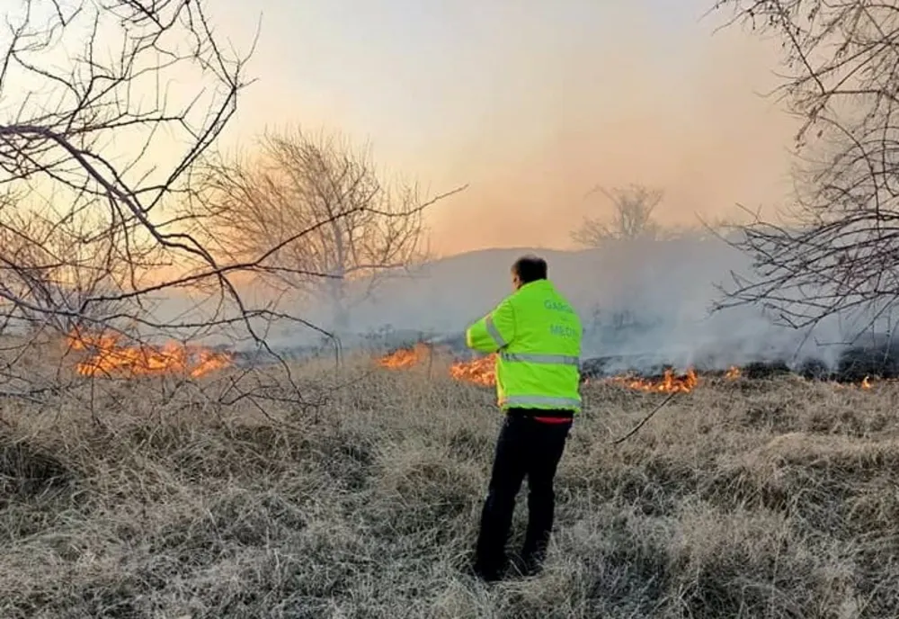 Garda de Mediu Buzău a formulat duă sesizări penale cu privire la incendiile de vegetație din 21 și 26 martie 2022