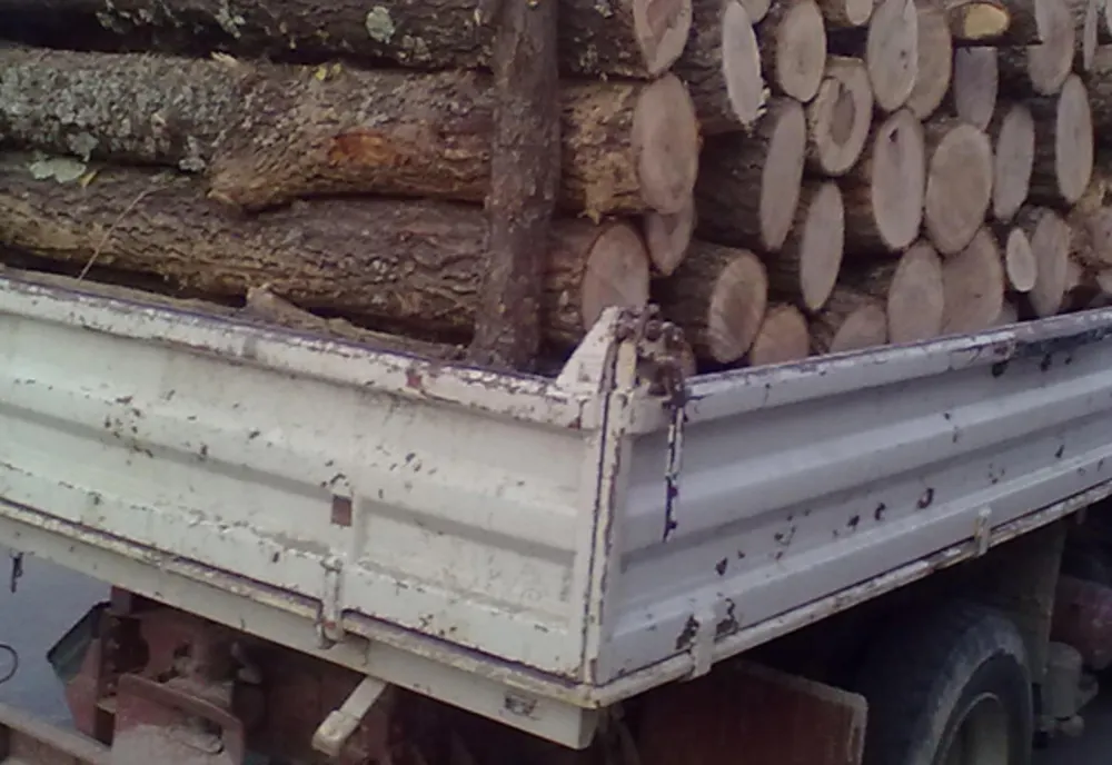 Sancționat pentru că a descărcat materialul lemnos în alte locaţii decât cele înscrise în avize
