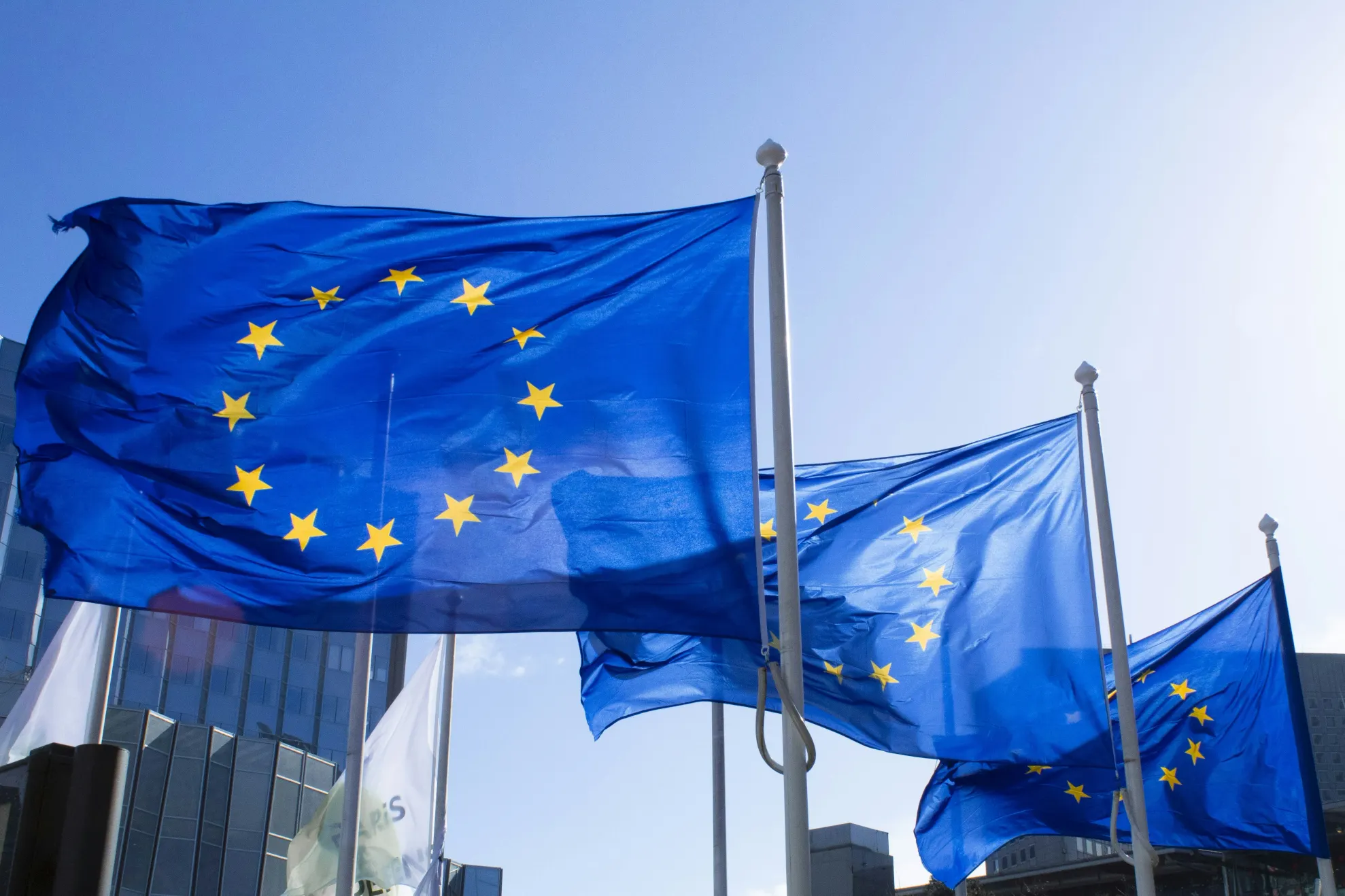 Steagul Uniunii Europene