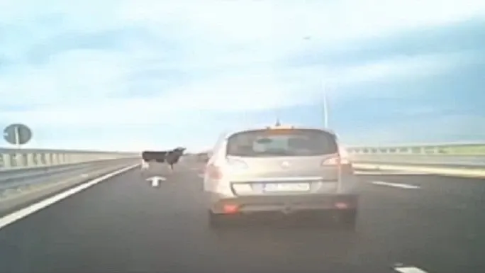 pericol pe autostrada