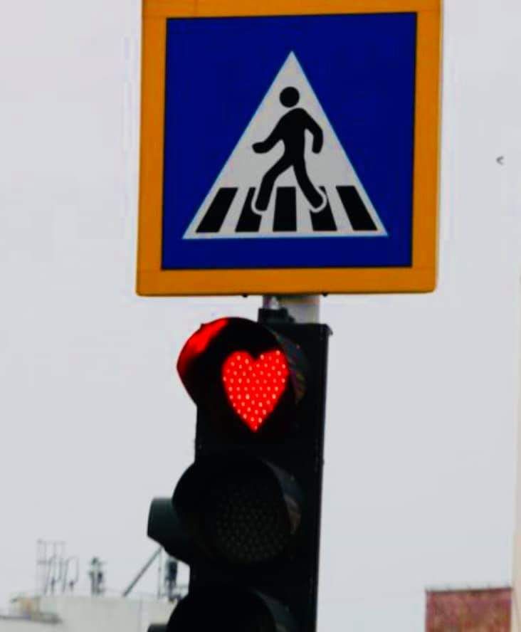 FB_IMG_1550125714670