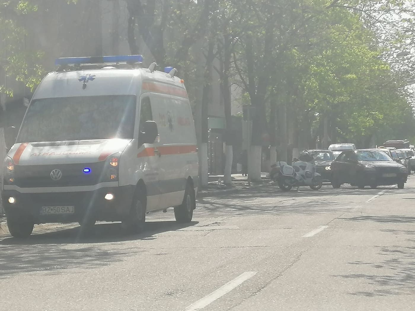 57244749_404219146977067_2561220218445627392_n