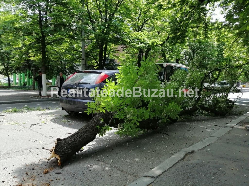 59685376_434660064028751_5669317338495713280_n