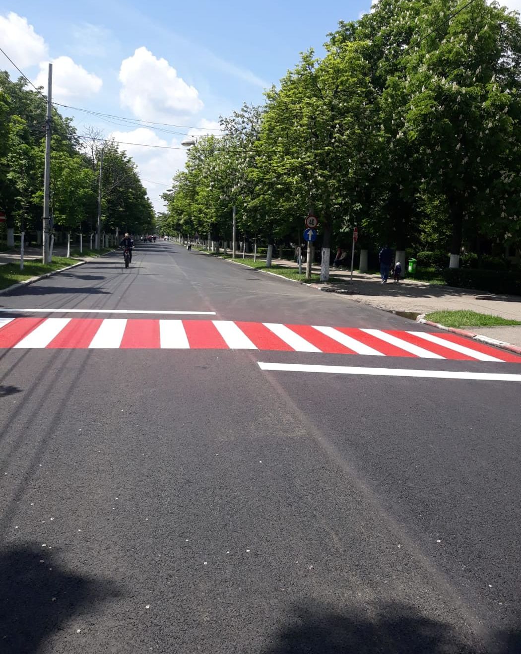 60245890_327388504618934_6869324466489393152_n