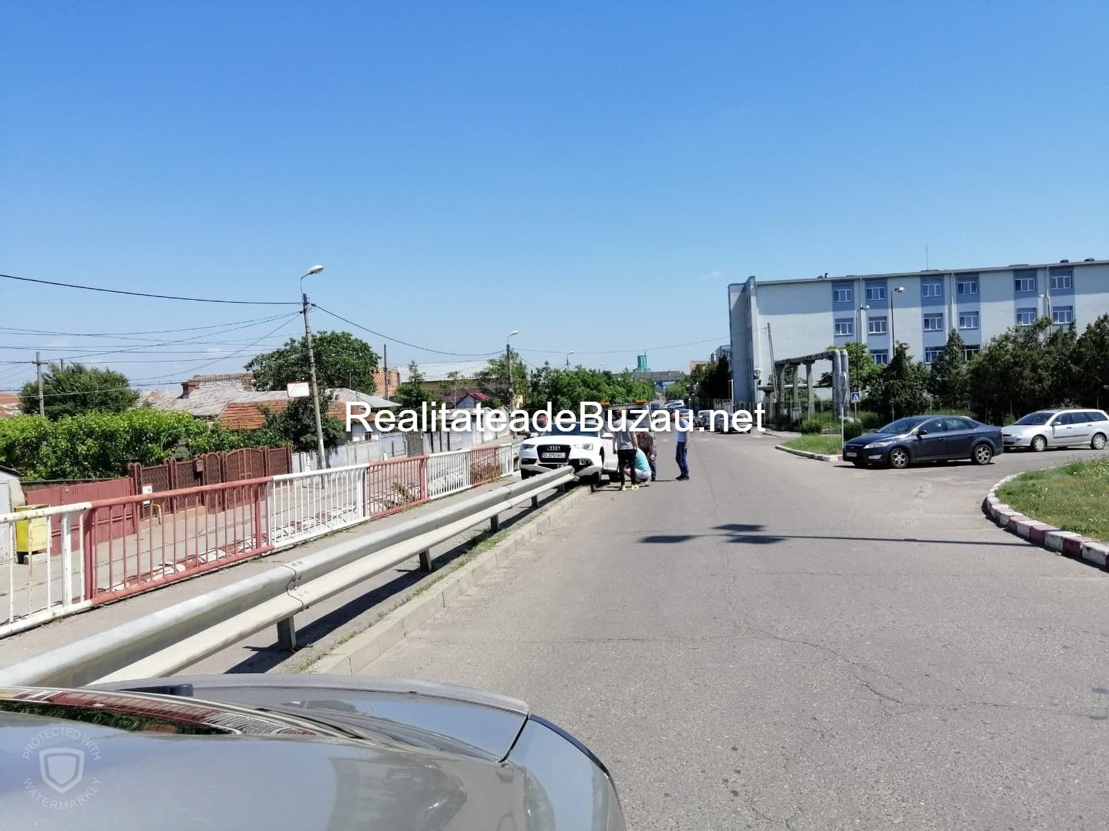 61287713_296958457924516_8980402562939224064_n (1)