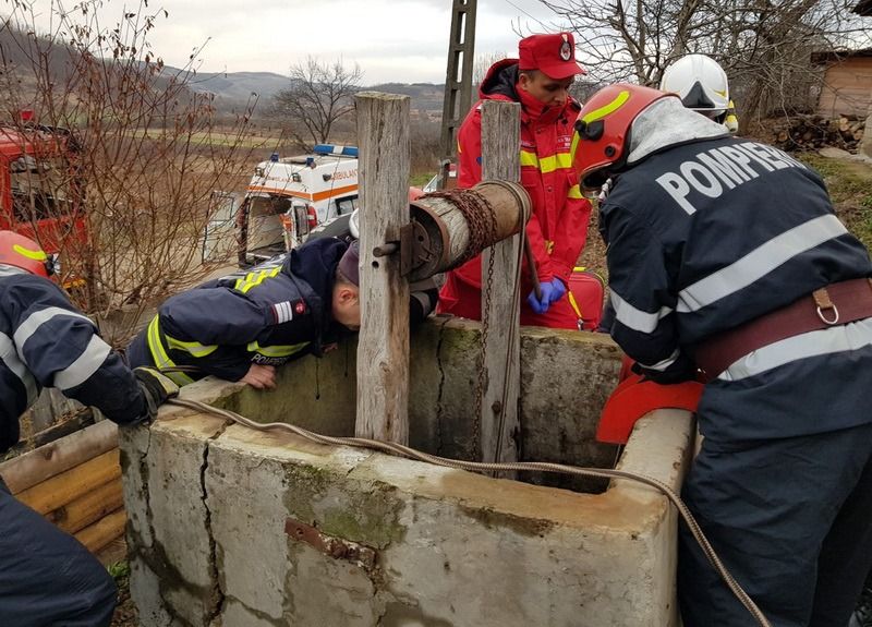 01-isu-crisana-salvat-fantana