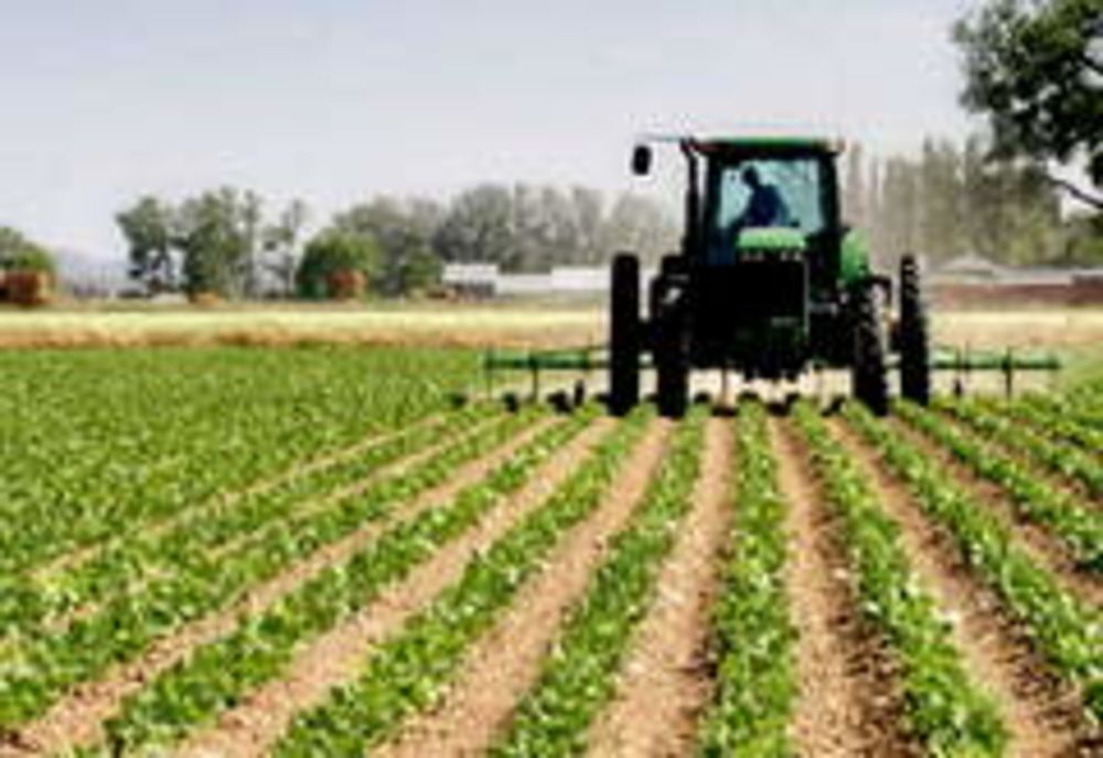 Deschiderea de credite bugetare  pentru continuarea plăţilor către fermieri 