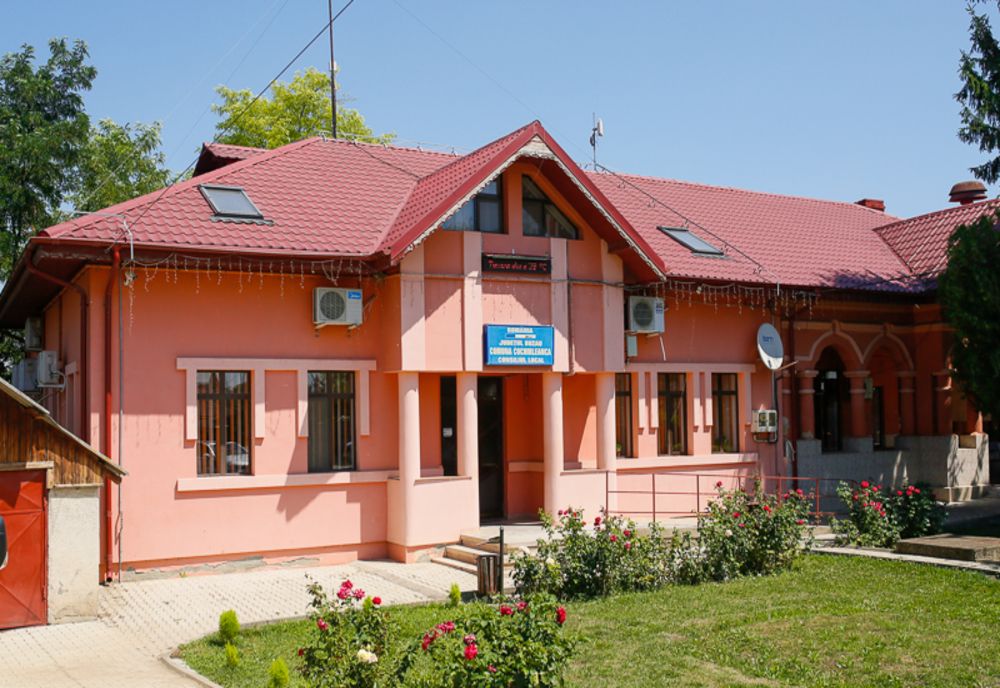 Bătaie, între un primar și vicele său