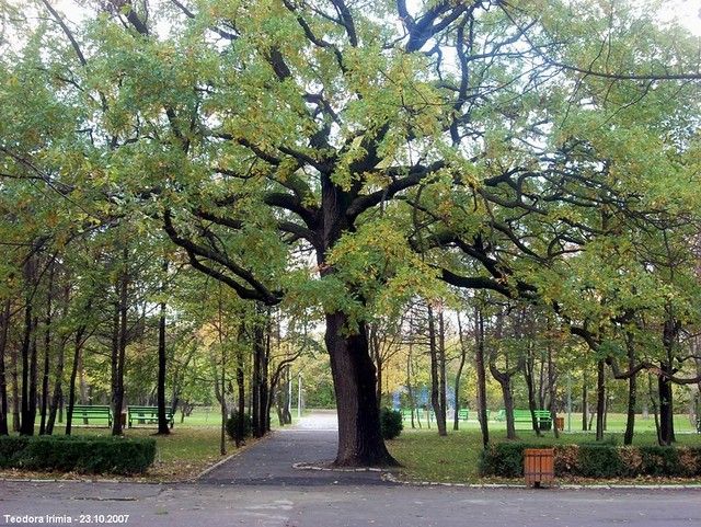 2758528191_d3629cd2a0_z