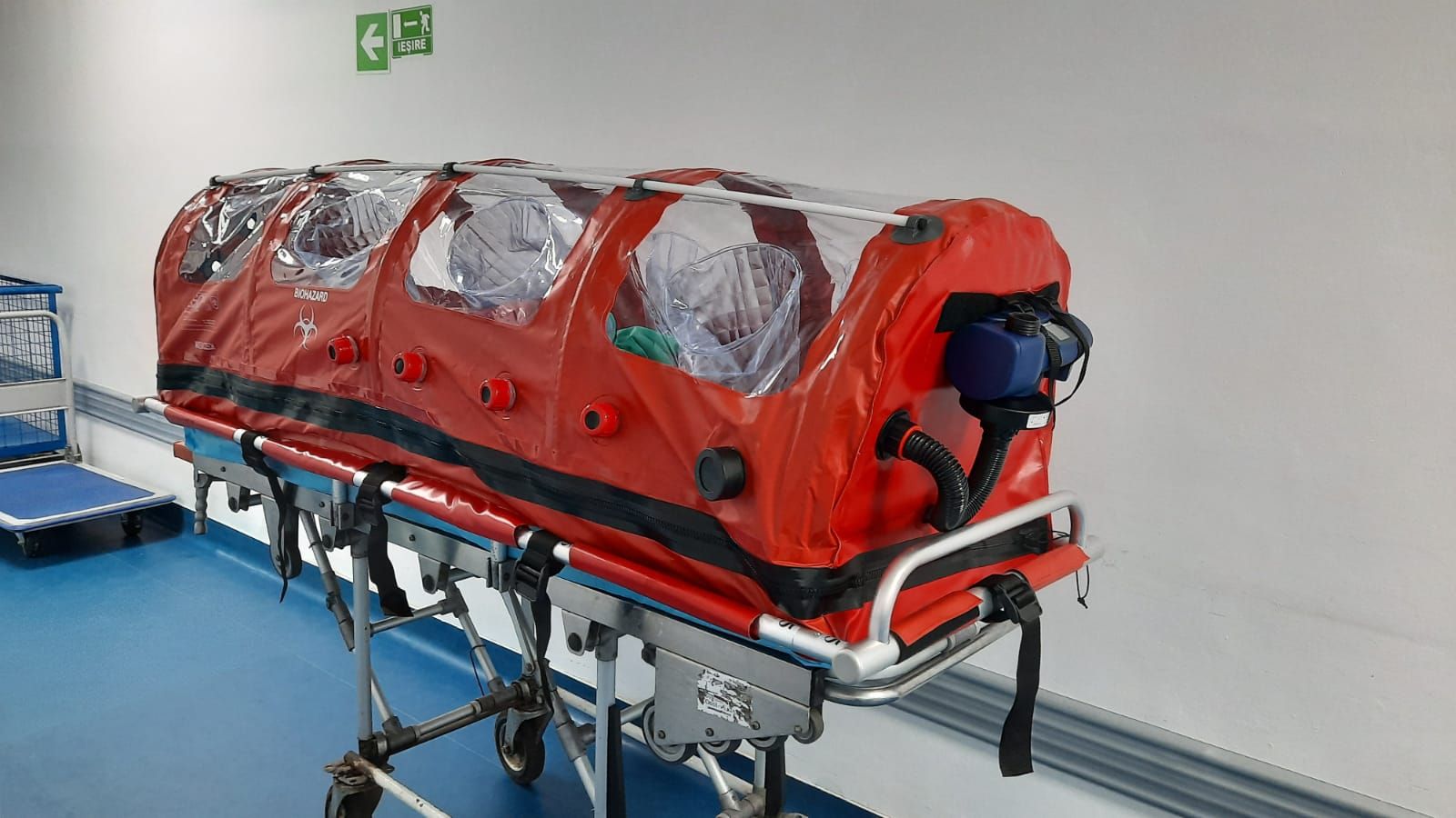 WhatsApp Image 2020-05-06 at 12.28.33