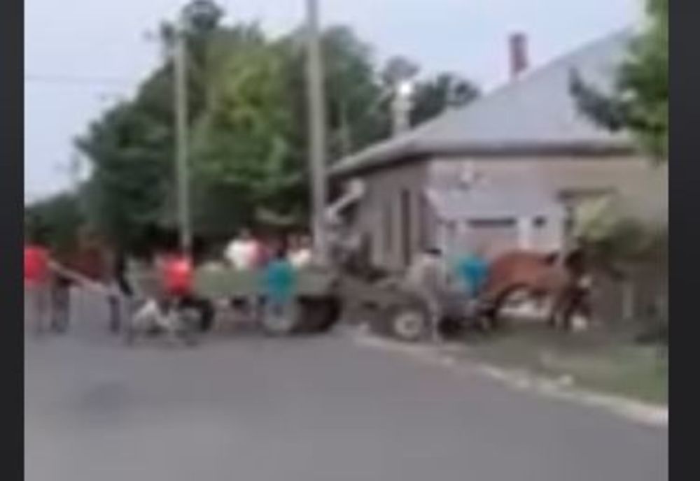 Scene înfiorătoare în județul Buzău - animale bătute cu cruzime