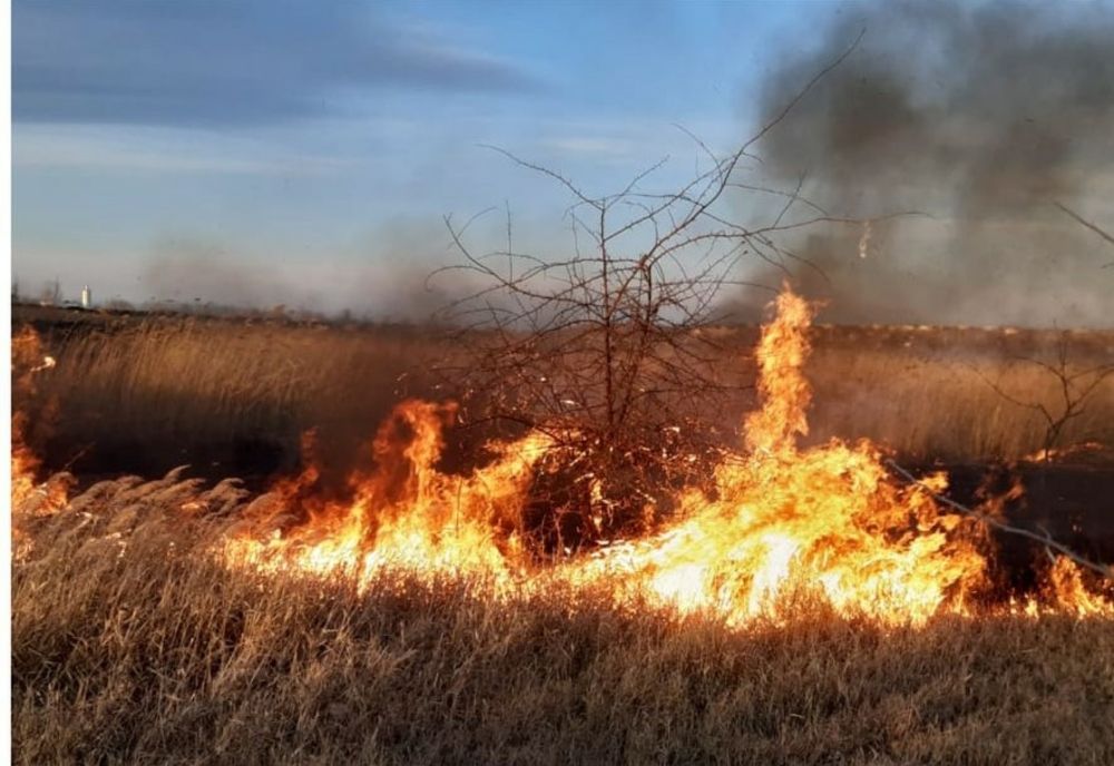 Pompierii de la ISU BUZĂU au intervenit la stingerea a 8 incendii în weekend