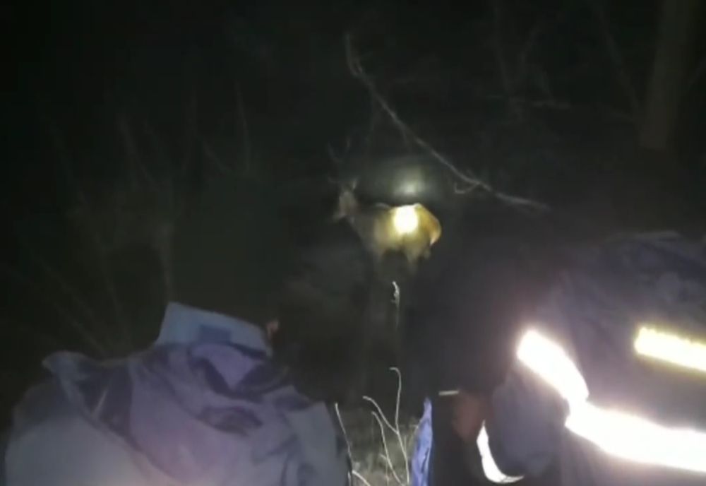 Video: După mai bine de 5 ore, un cerb rănit a fost  salvat de jandarmii buzoineni