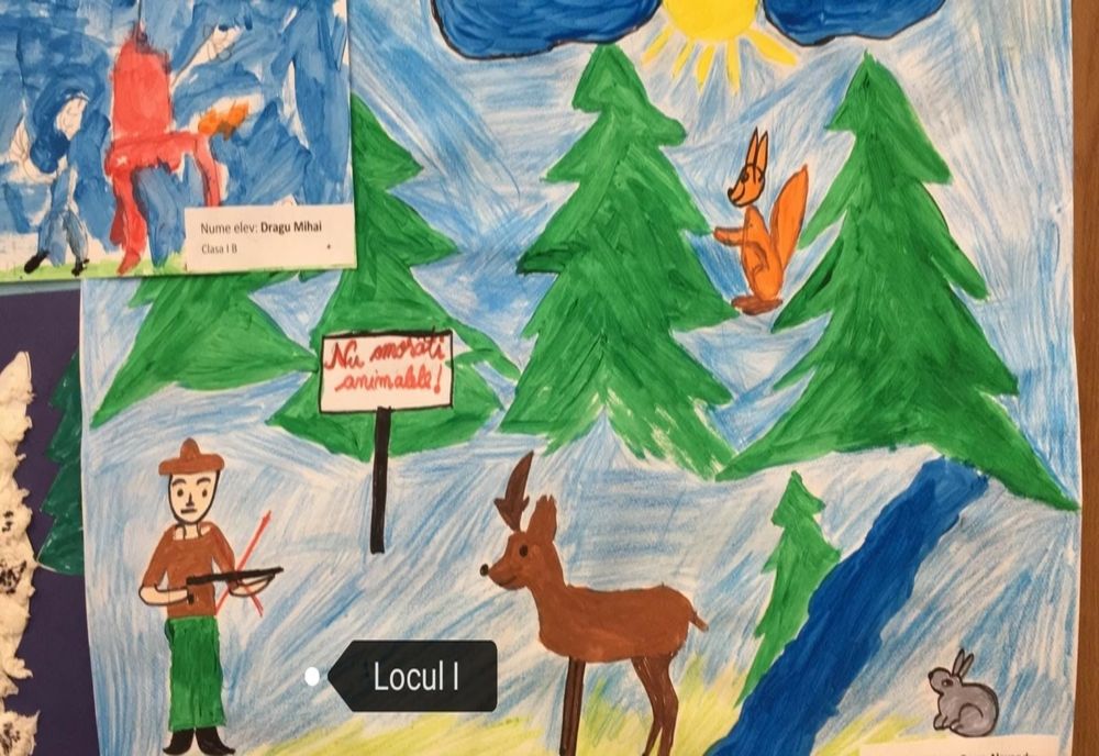 Video: “Cum protejăm animalele?”