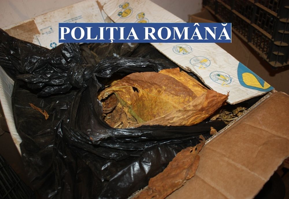 UPDATE/PERCHEZIȚII ÎNTR-UN DOSAR PRIVIND PRODUCEREA, DEŢINEREA ȘI COMERCIALIZAREA ÎN MOD ILICIT DE PRODUSE ACCIZABILE