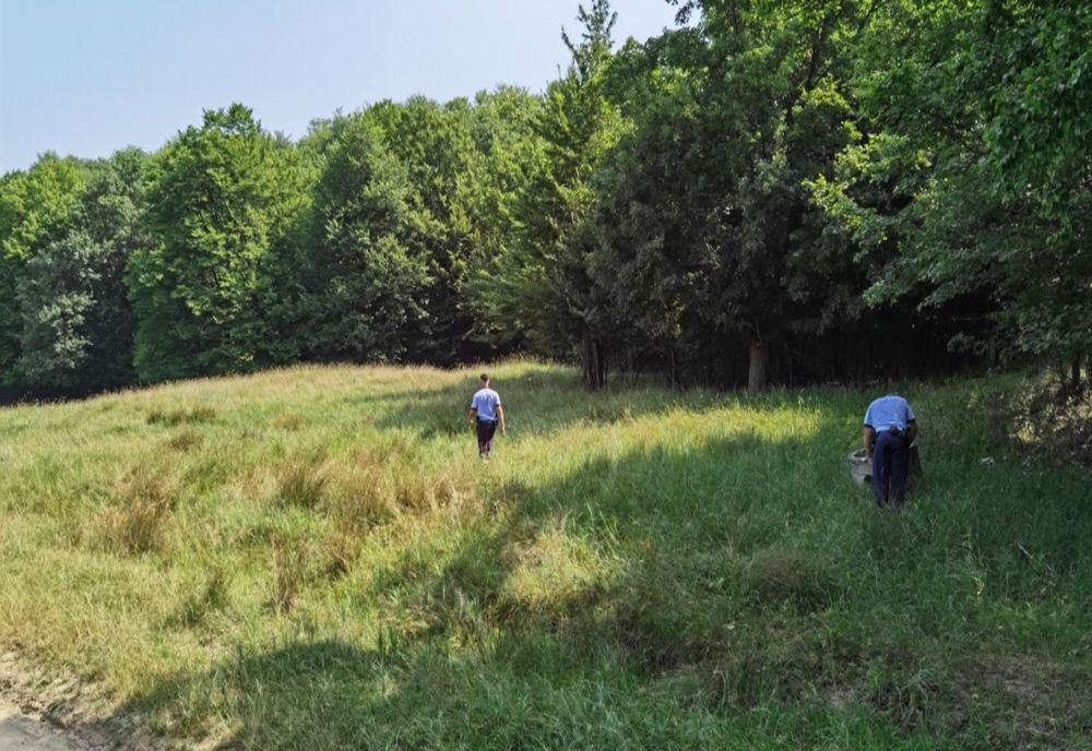 Bărbat de 86 de ani, din comuna Buda, dat dispărut, găsit decedat pe un islaz din Chiojdeni