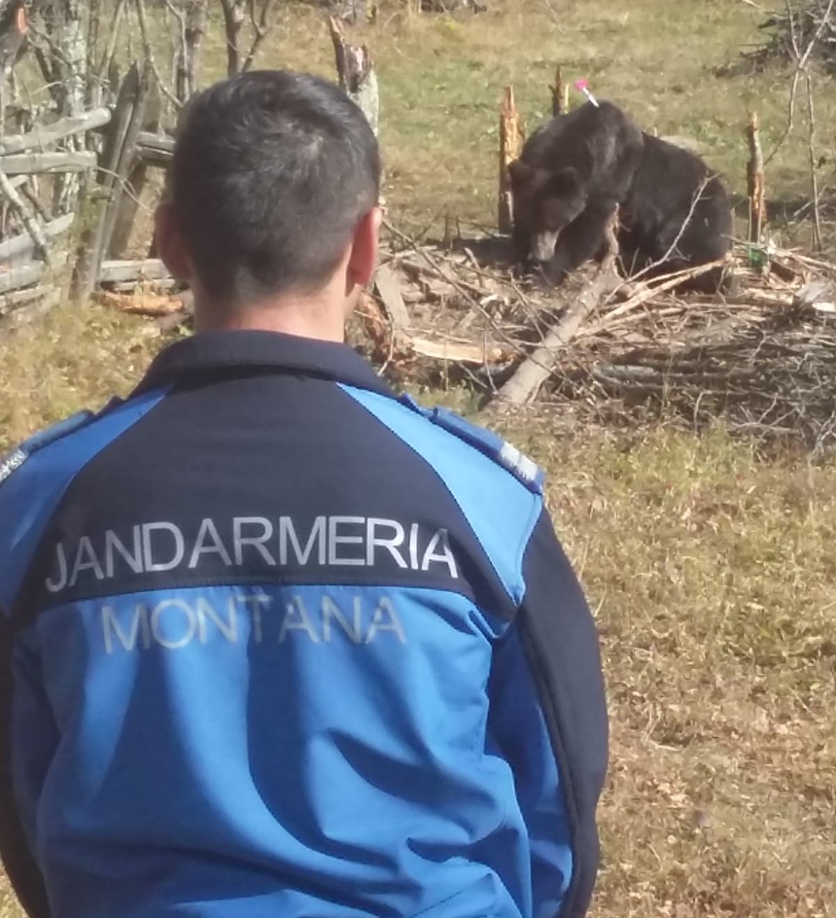 WhatsApp Image 2021-10-05 at 13.49.34